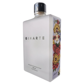 GINEBRA GINARTE BOT 70CL CJ 6 UD