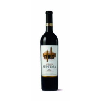 V. SEPTIMA MALBEC BOT 75CL CJ 6UD