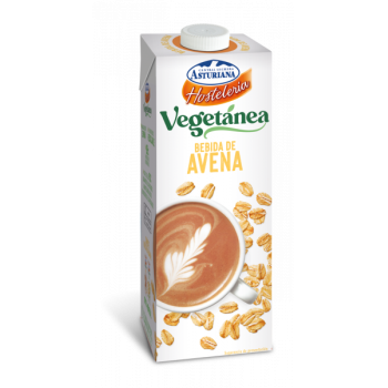 BEBIDA AVENA VEGETANEA BRICK 1L CJ 6 UD