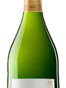 CAVA CODORNIU PRIMA DE VIDES B 75CL CAJA 6U