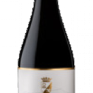 CARLOS MORO 75CL BOTELLA CJ 1 U