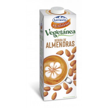 BEBIDA VEGETAL ASTURIANA VEGETANEA HOSTELERIA ALMENDRA BRIK 1L CAJA 6U