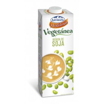 BEBIDA VEGETAL ASTURIANA VEGETANEA HOSTELERIA SOJA BRIK 1L CAJA 6U