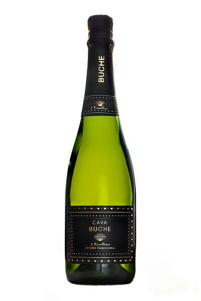 CAVA BUCHE SEMISECO 75CL CAJA 6U CAVA BUCHE SEMISECO 75CL CAJA 6U