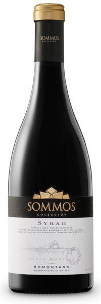 SOMMOS COLECCION SYRAH TINTO 75CL CAJA 6U SOMMOS COLECCION SYRAH TINTO 75CL CAJA 6U