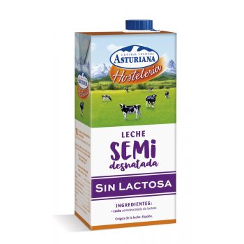 LECHE ASTURIANA HOSTELERIA S/LACTOSA SLIM BRIK 1L CAJA 6U