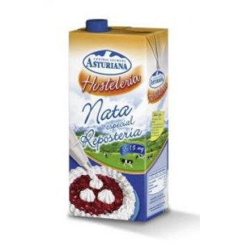 ASTURIANA NATA REPOSTERIA 35,1% S/FRIO BRIK 1L CAJA 6U